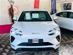 بي واي دي سيليون 06 DM-i